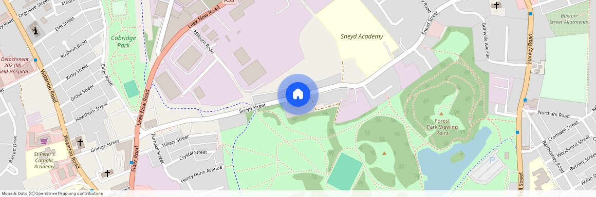 forest edge Sneyd Street, Stoke-On-Trent