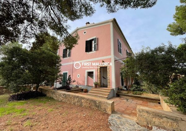 Av. son Caliu, 17, 07181 Palmanova, Illes Balears, Spain, Palma Nova, Balearic Islands 07181