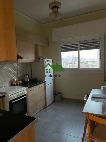 Διαμέρισμα για ενοικίαση Ευαγγελίστρια (Κέντρο - Λιμάνι) - Photo 5