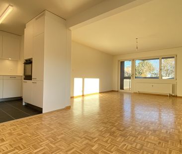 Wohnen über Muttenz; 2020 sanierte Wohnung mit herrlicher Weitsicht - Photo 3