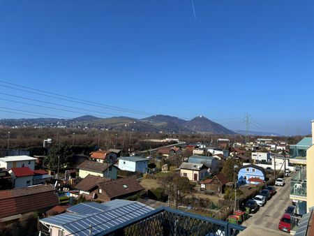 ERSTBEZUG | Außenflächen mit direktem Blick auf den Kahlenberg | vollausgestattete Küchen | Fußbodenheizung und Fußbodenkühlung - Photo 2