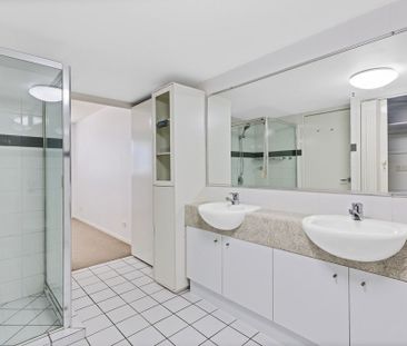 North Facing, Light Filled, Cotton Tree Gem - Photo 6