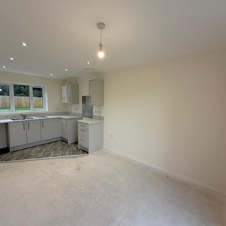 3 bedroom semi-detached house to rent - Photo 1