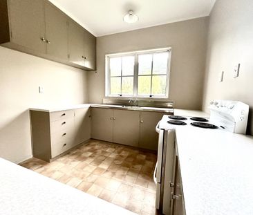 Buried Village Beauty! Rotorua - Photo 3