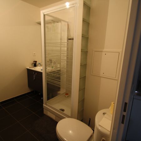 Location Appartement 1 pièce 31m² - Photo 4