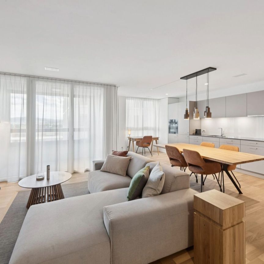 Furnished apartments with Madrid charm in the largest shopping center in Switzerland - Photo 1