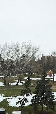 2 CH - 2 SDB - Longueuil - $1,850 /mo - Photo 1