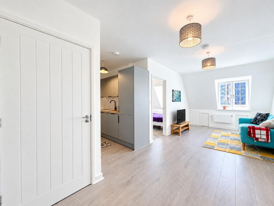 1 bedroom apartment to rent - Photo 1