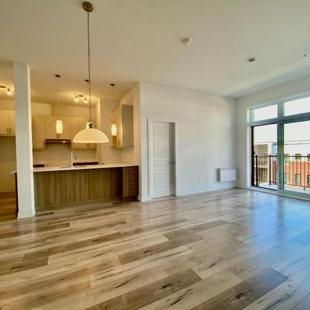 Longueuil 4 1/2 spacieux 1051 pi ca - Photo 4