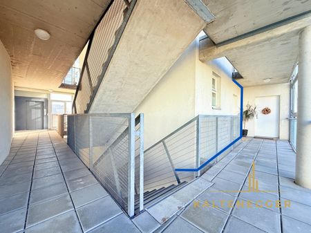 Modernes Zuhause für Singles und Paare: Helle 2-Zimmer-Wohnung mit Loggia bei U6 Alterlaa - 5. Stock - Photo 3