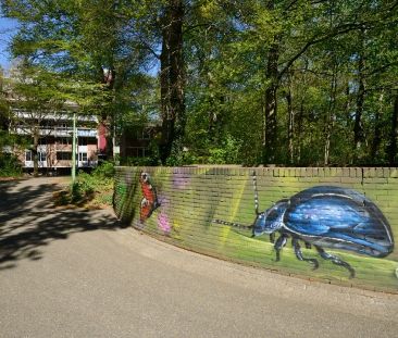 Chambre d'étudiant Warande 54, Zeist - À louer - Foto 1