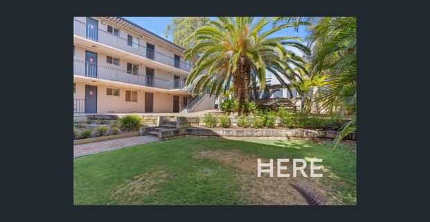 Heart of South Perth - Photo 1