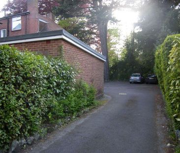 Apartment to rent - Photo 5