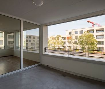 "Looking for something special..." - Photo 6