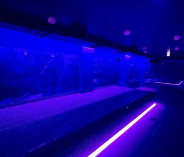 Flat share to rent - Photo 3