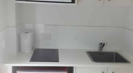 1 bedroom Unit - Newly Renovated - Fully Furnished - Photo 2