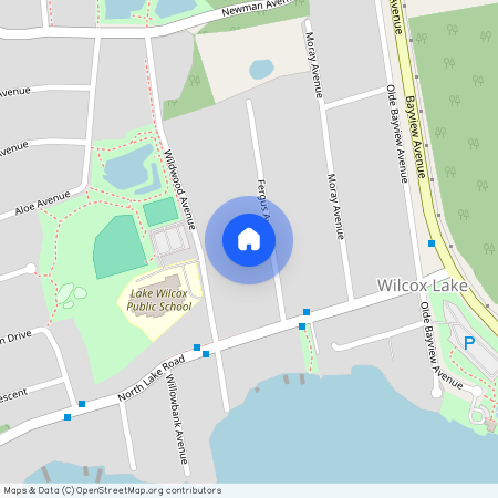 42 Fergus Avenue, Richmond Hill