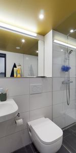 Large Bude 1.02.09 - Photo 3