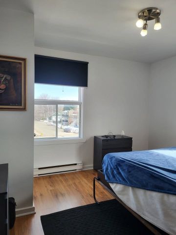 87 Rue Toupin, apt. 6 - Photo 5