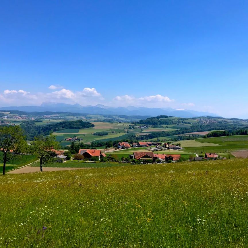 3.5 Zimmer, 68 m², 1. Stock - Foto 1