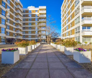 Studio to rent - Photo 6