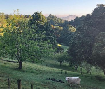 Valley Views and Fresh Eggs Await! - Photo 5