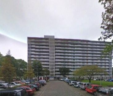 Spuikreek 0ong, 3079 Rotterdam, Nederland - Foto 1