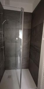 Location Appartement 1 pièce 15m² NANCY 54000 - Photo 4
