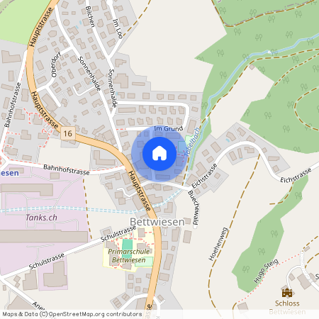 9553, Bettwiesen, Im Grund, 2