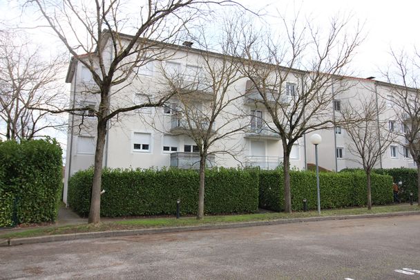 Location appartement 3 pièces, 55.90m², Châtenoy-le-Royal - Photo 1
