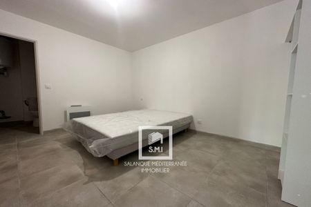 Location Appartement 1 pièce 38m² ST ESTEVE 66240 - Photo 3
