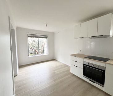 Newly refurbished three bedroom two bathroom residence in convenien... - Photo 6