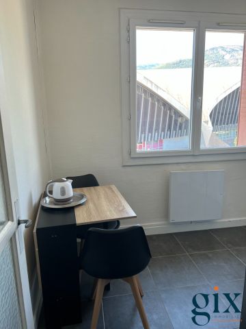 Location Appartement 1 pièce 30m² GRENOBLE 38000 - Photo 3