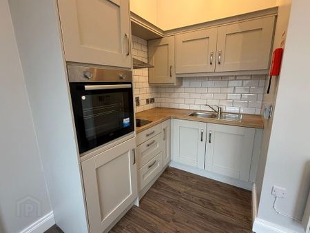 18 Northland Row, Dungannon, BT71 6AP - Photo 4