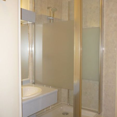 Location Appartement 1 pièce 37m² L HAY LES ROSES 94240 - Photo 4