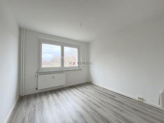 Große 2-Raum-Wohnung mit Südbalkon - Foto 1