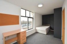 1 bed Room for Rent - Photo 1