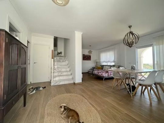 Calle Bélgica, Málaga, Andalusia 29004 - Photo 1