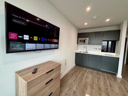 Studio Flat, Parliament Sqaure, L1 - Photo 4