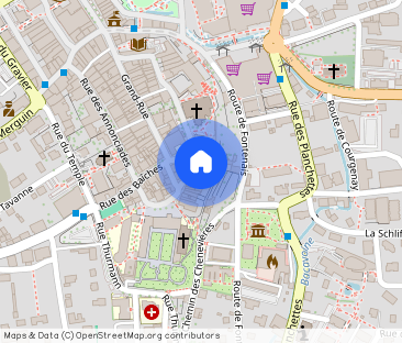 Charmant appartement en vieille Ville avec du cachet avec jardin co... - Photo 1