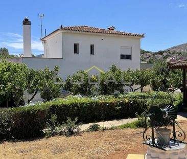 Μονοκατοικία για ενοικίαση Μαρκόπουλο - Photo 2