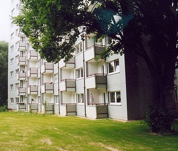 Ideal für Singles! 1-Zimmer-Wohnung in Detmold Knochenbach mit neuem Laminatboden! - Foto 1
