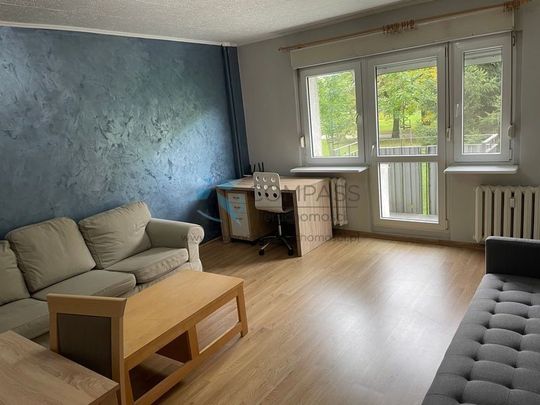 Jasne,ustawne,2pok,kuchnia,balkon Wichrowe Wzgórze - Фото 1