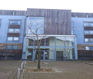 1 bed flat to rent in Quayside Drive, Colchester - Photo 4