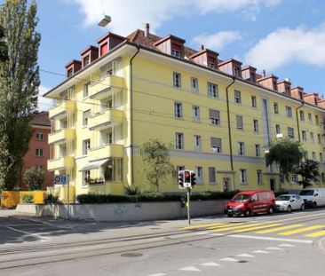 3 Zimmer, 66 m², 4. Stock - Photo 4