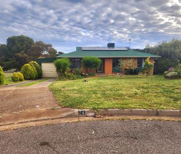 Spacious Home and Bonus Additional Granny Flat - Photo 2