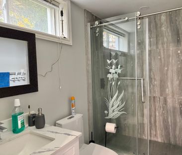 For Lease - 69 Marsellus Street Unit# Lower, Barrie, Ontario - Photo 5