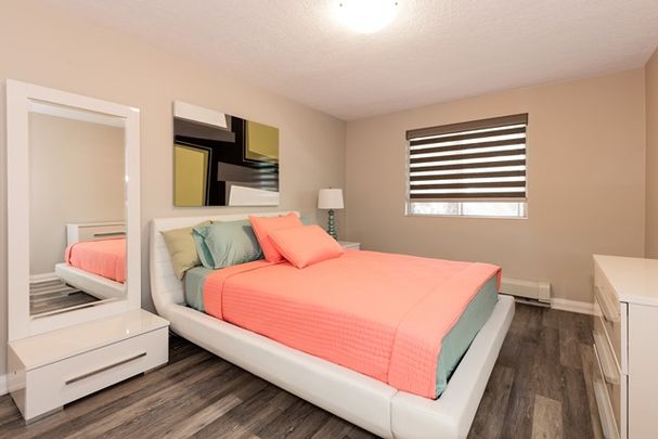 apartments at 375 Scott Street - Photo 1