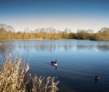 Broadway, Peterborough - Photo 5