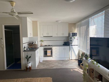 One Bedroom Unit Living in Alexandra Headland - Unfurnished - Photo 4